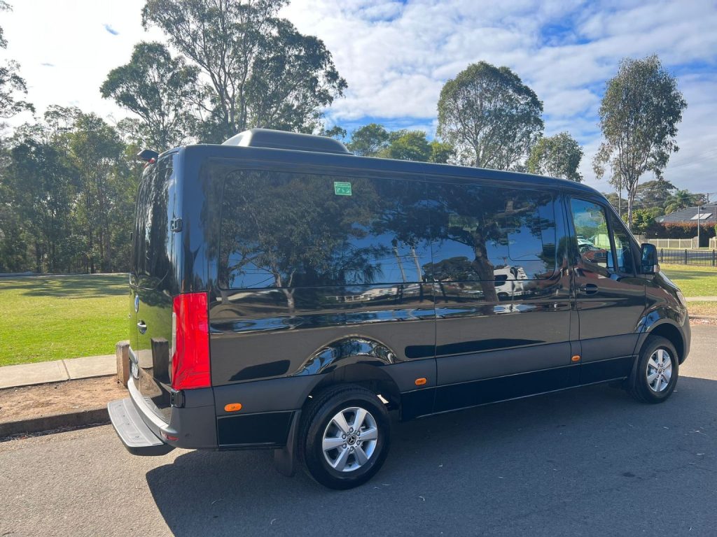Mercedes Sprinter Van for Cruise Ship
