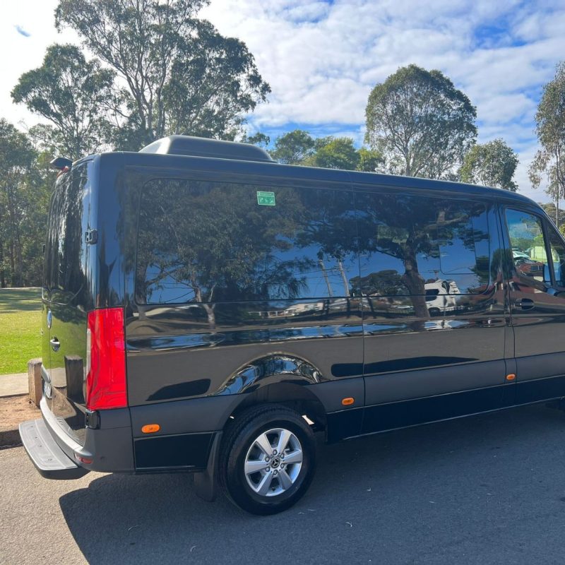 Mercedes Sprinter Van for Cruise Ship
